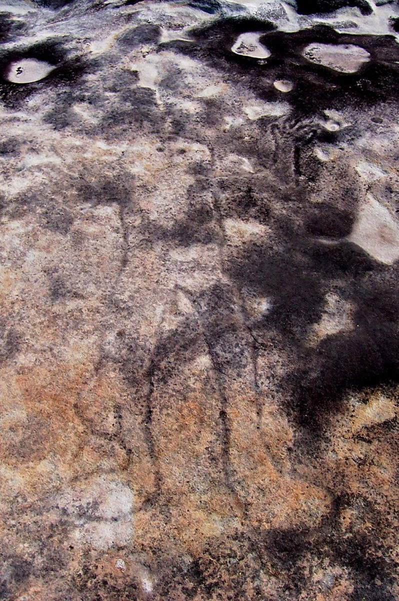 A rock carving in Ku-ring-gai Chase, Sydney NSW