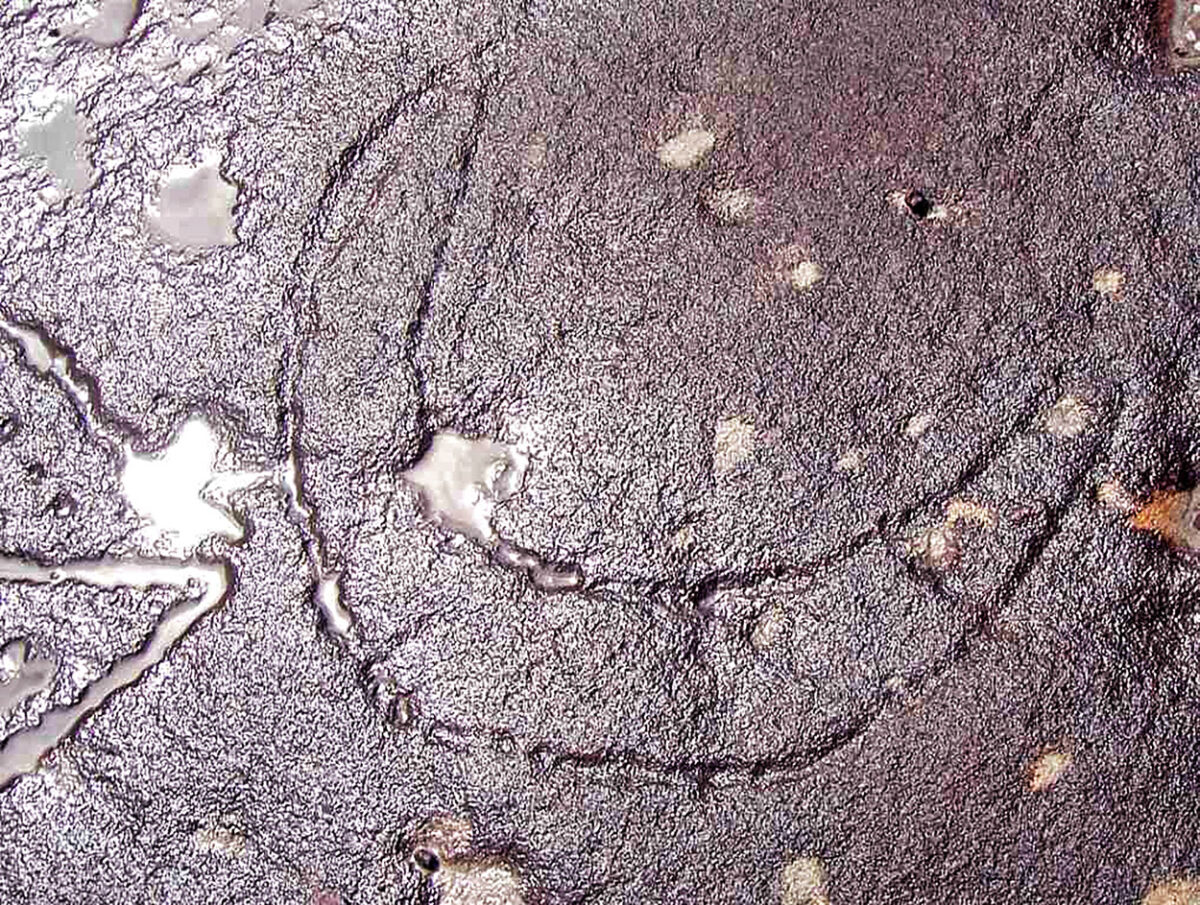 Petroglyph, Ku-ring-gai Chase, Sydney NSW