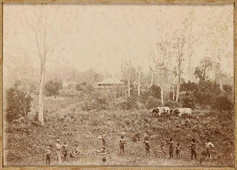 Scrub clearing. Notice the difference in dress between the white people and the Aboriginal workers. Some of the Aboriginal workers are children.